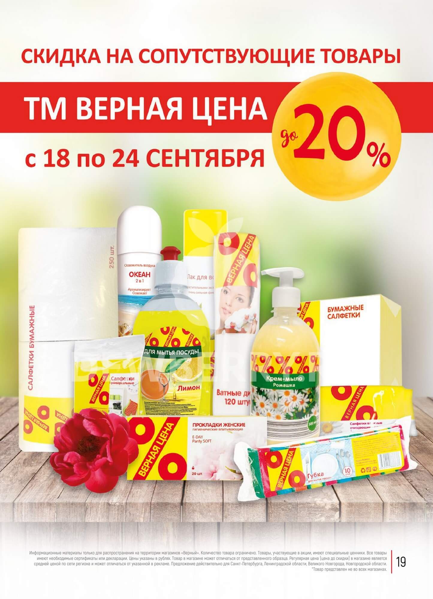 Страница 19