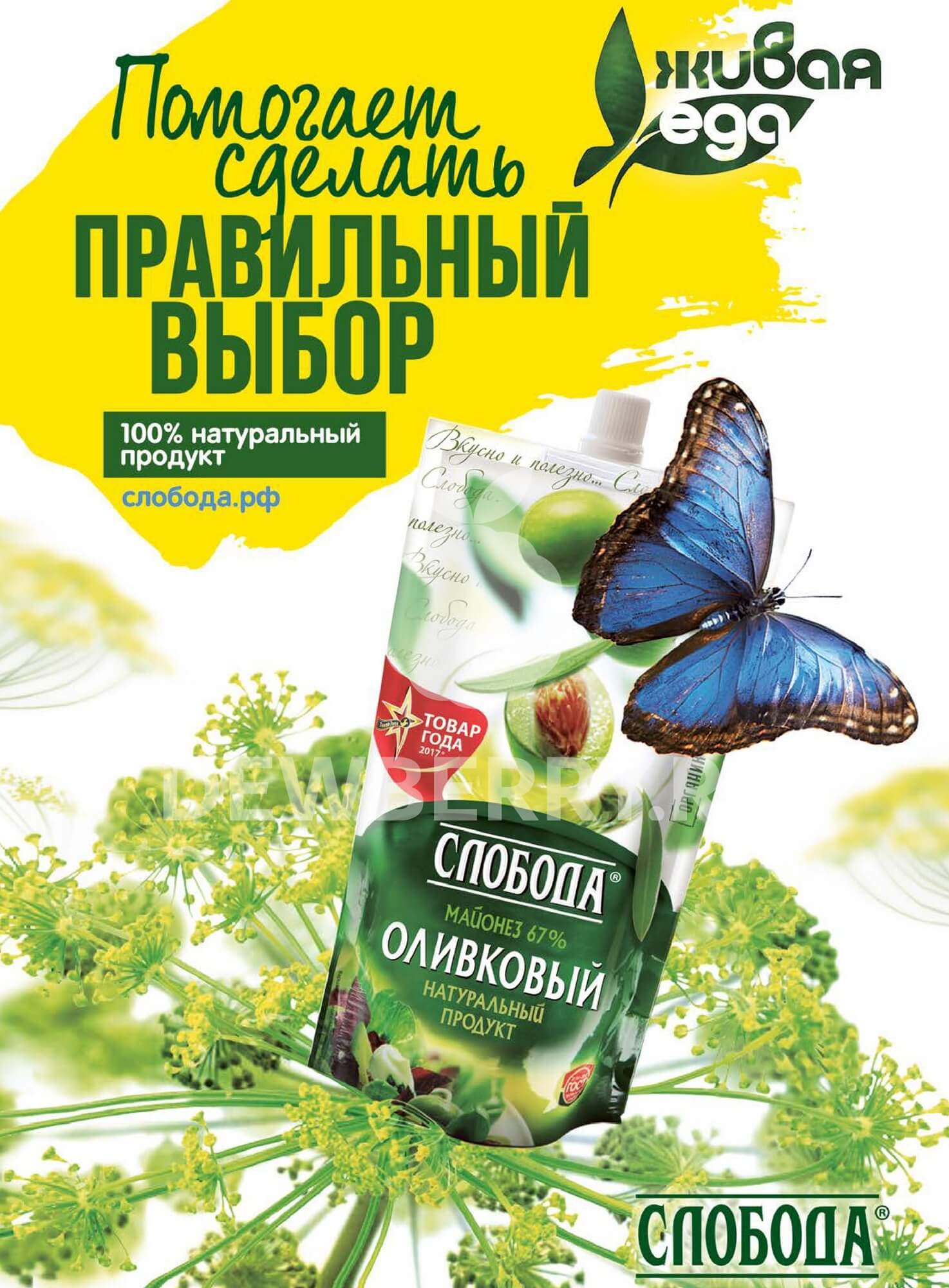 Страница 43